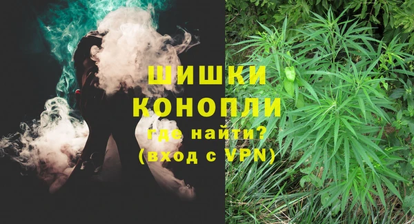 мдпв Гусь-Хрустальный
