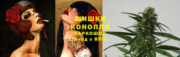 стафф Дмитров