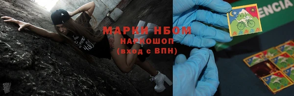 индика Дмитровск
