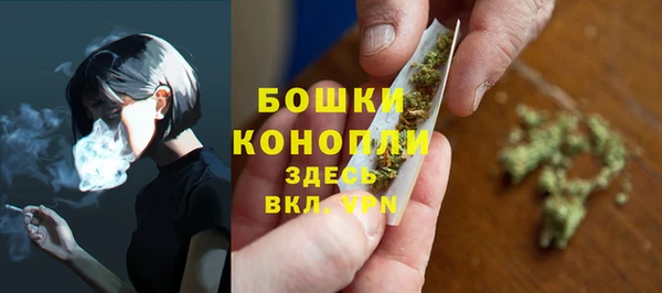 стафф Дмитров