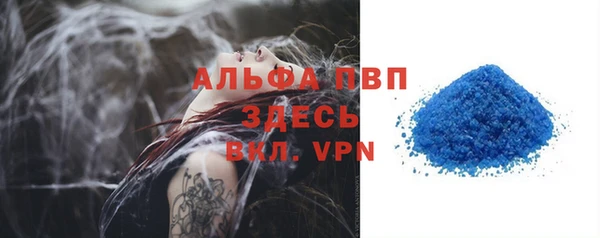 индика Дмитровск