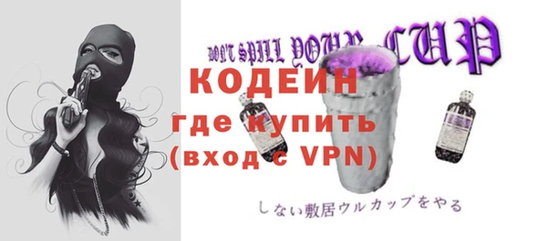 шишки Дмитриев