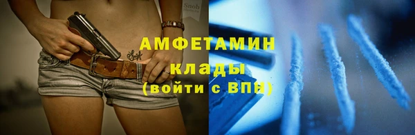 индика Дмитровск