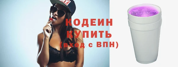 круглые Гусев