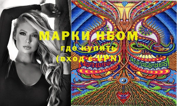 шишки Дмитриев