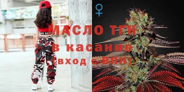мдпв Гусь-Хрустальный