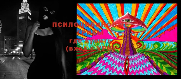 шишки Дмитриев