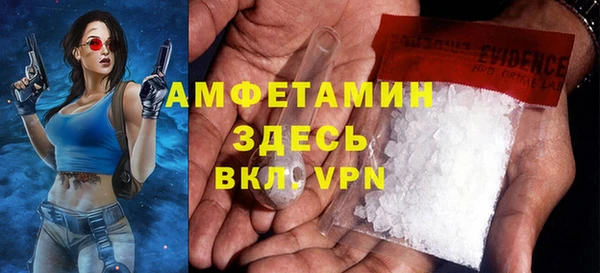 индика Дмитровск