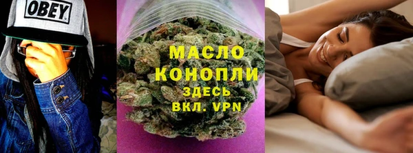 шишки Дмитриев