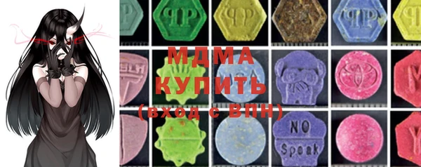 индика Дмитровск
