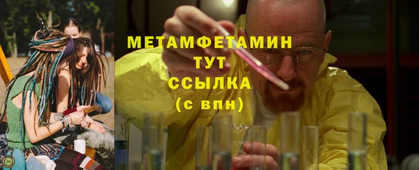 индика Дмитровск
