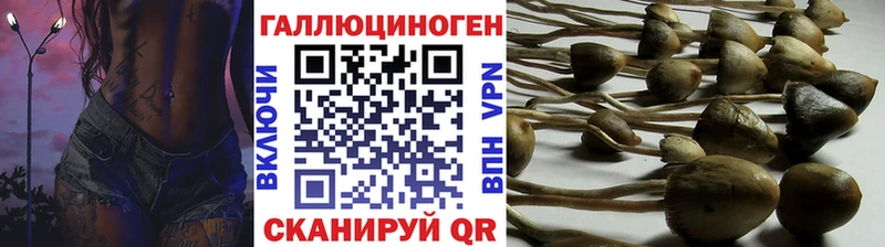 Галлюциногенные грибы Magic Shrooms наркотики Каменск-Шахтинский